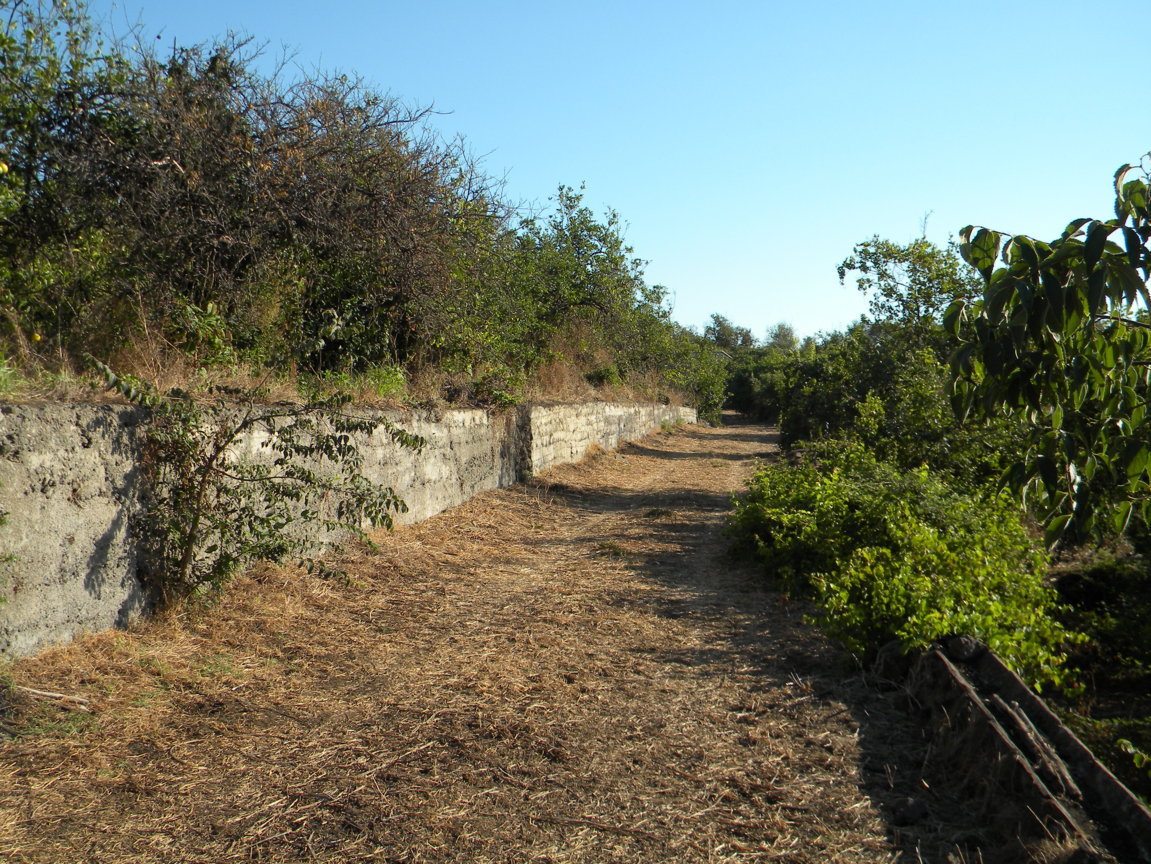 DSCN8057 .JPG